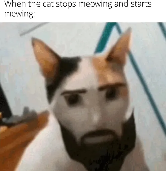 moew